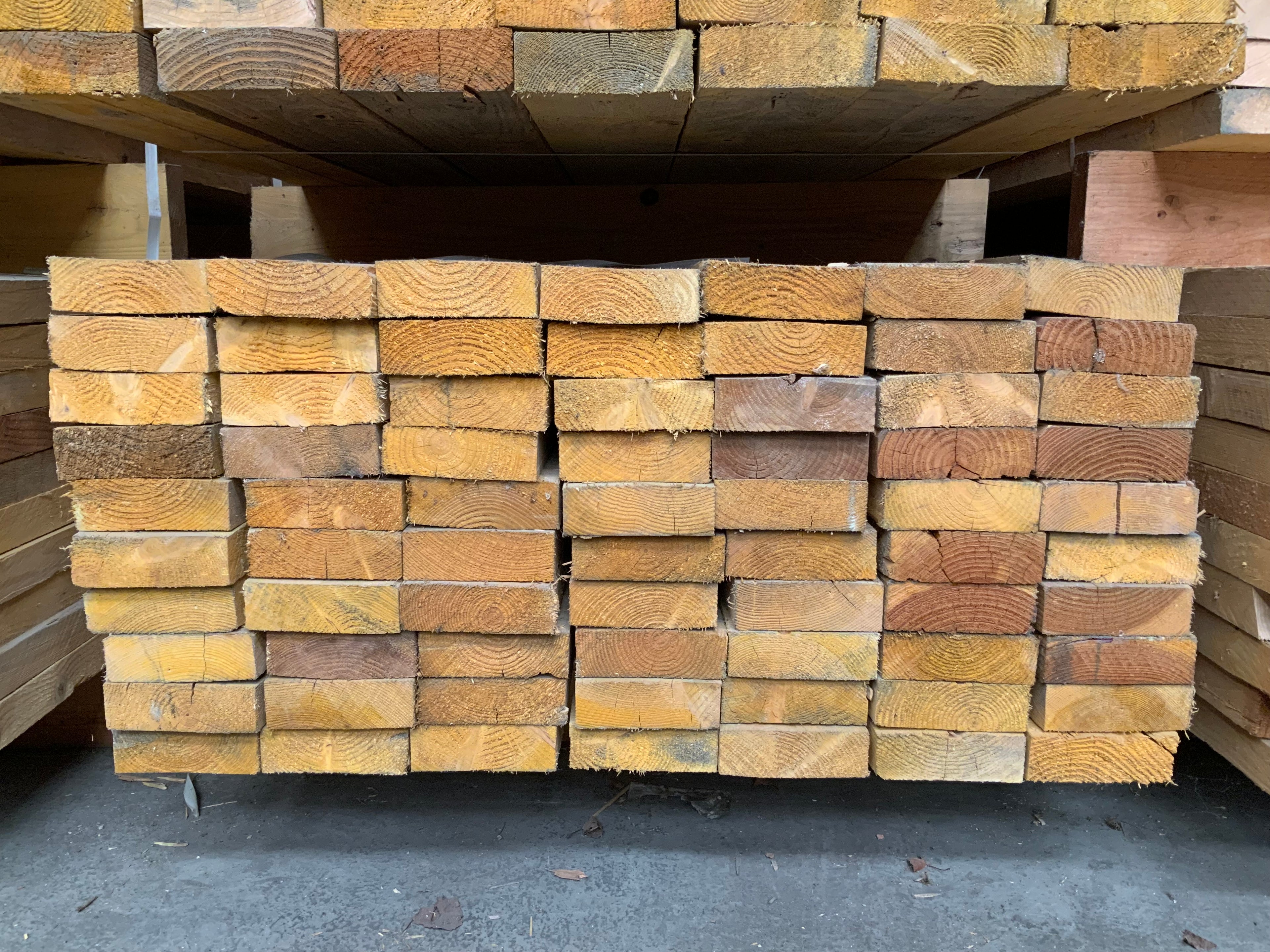 Ossature pin section 145x45mm